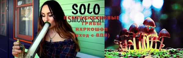 ПСИЛОЦИБИНОВЫЕ ГРИБЫ Армянск